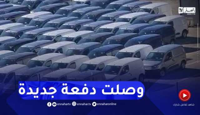 شاهد..وصول الأن كمية معتبرة من سيارات fiat doblo إلى ميناء مستغانم