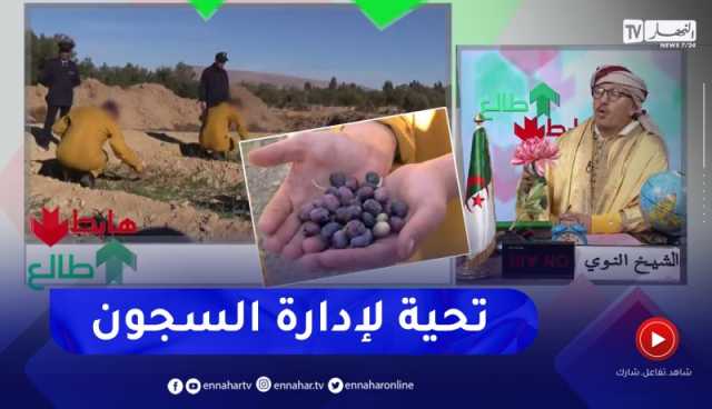 النوي يحيي إدارة السجون على المجهودات الجبارة في سبيل تأهيل النزلاء وتحضيرهم للحياة المهنية