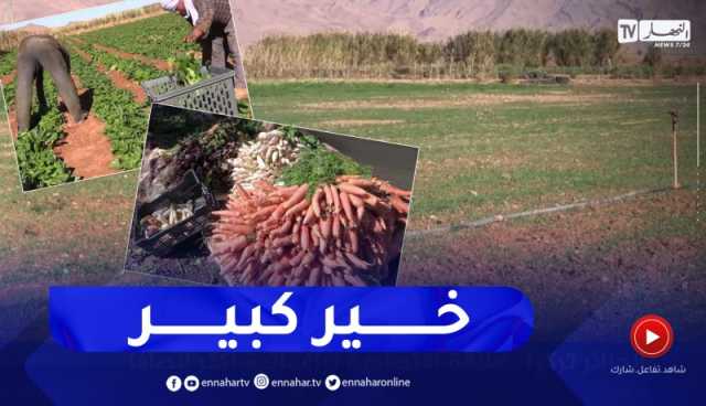 بشار: “عمي محمد” رفع التحدي لزيادة نسبة الإنتاج هذه السنة رغم العراقيل