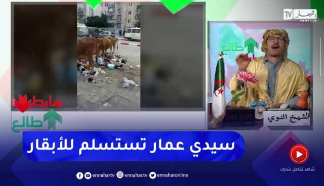 طالع هابط: شاهد بلدية سيدي عمار بعنابة إحتلتها الأبقار