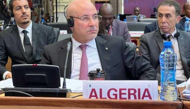 إعتماد إقتراح الجزائر للصناعة والإستثمار في إفريقيا 