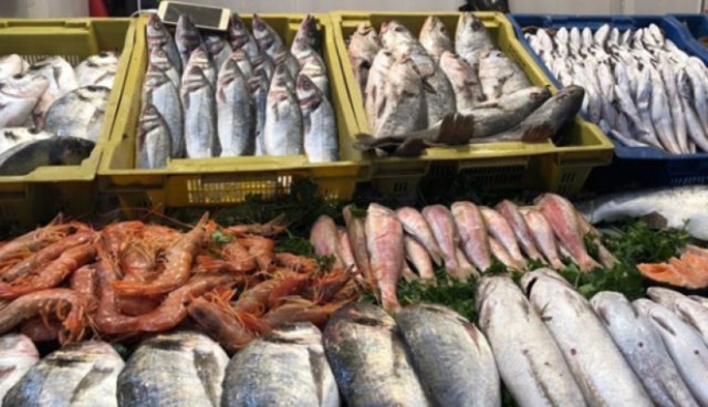 تحقيق 1.7 مليون أورو من الصادرات السمكية في 2023