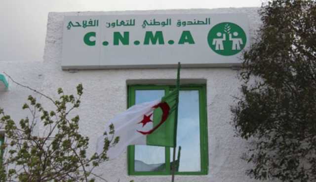 CNMA يدعو الشباب إلى شراء حصص اجتماعية في الشركة