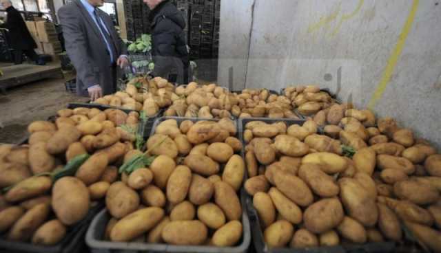 تموين السوق بـ8000 طن من البطاطا