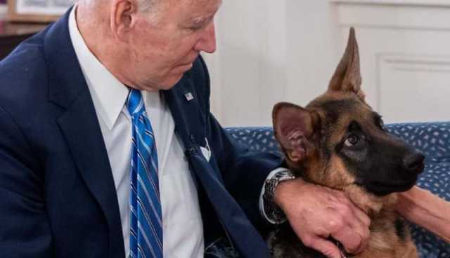 كلب جو بايدن يسبب مشاكل في البيت الأبيض