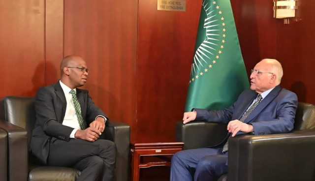 الجزائر وتنزانيا يبحثان تعزيز علاقات التعاون والشراكة