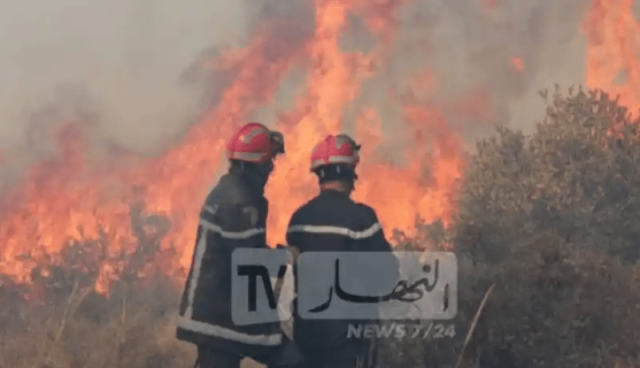 لصد حرائق الغابات..رفع التأهب مع 24 وزارة ومؤسسة.. و”الدرون” حاضرة