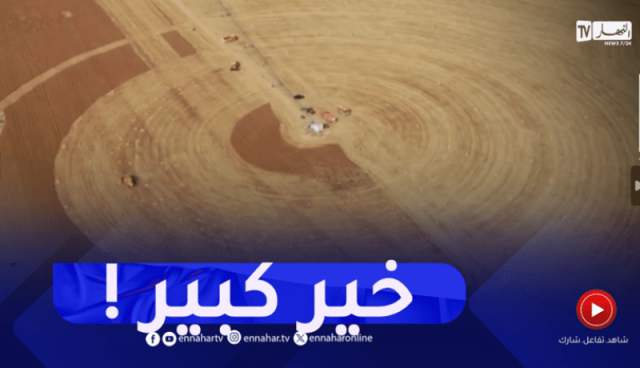 خنشلة : 100 شاحنة لنقل الحبوب بصحراء النمامشة