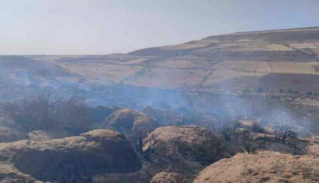 تيارت: إخماد النيران التي اندلعت بمنطقة سفالو في تاقدمت