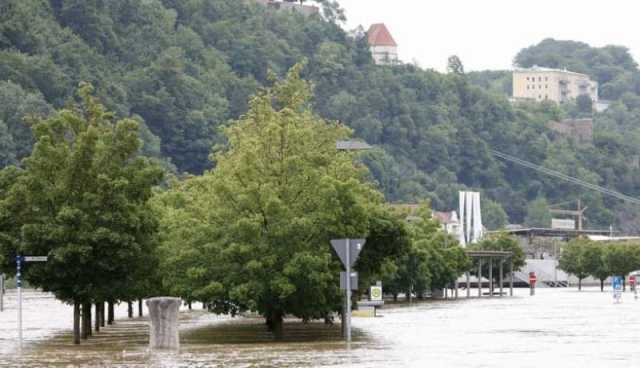 ألمانيا: امرأة تظل معلقة على شجرة 60 ساعة هربا من الفيضانات