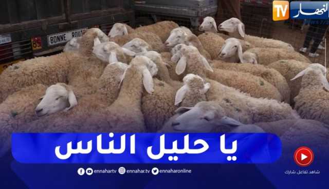 ساعات قبل العيد..إقبال كبير على الأسواق والأسعار تأبى الإنخفاض