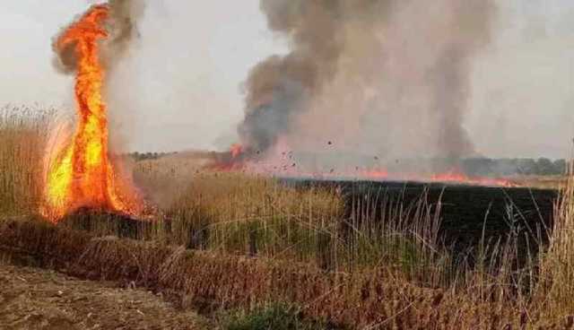 المغير: الحماية المدنية يمنعون إنتشار حريق