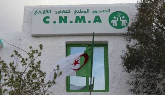 صندوقCNMA : 50 بالمئة تخفيض على تأمين المركبات الجديدة و65 بالمئة على السكنات