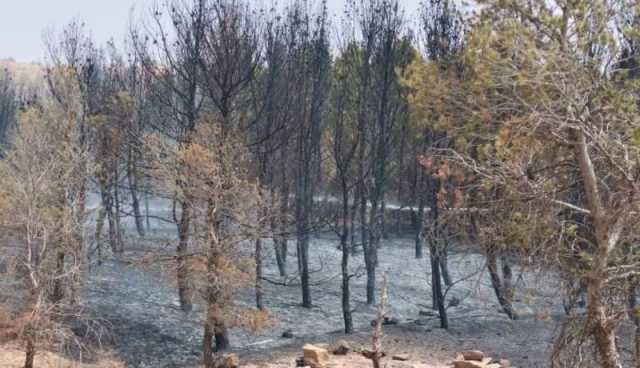 الجلفة: نشوب حريق بمنطقة الوكاريف على مستوى غاية الحواص
