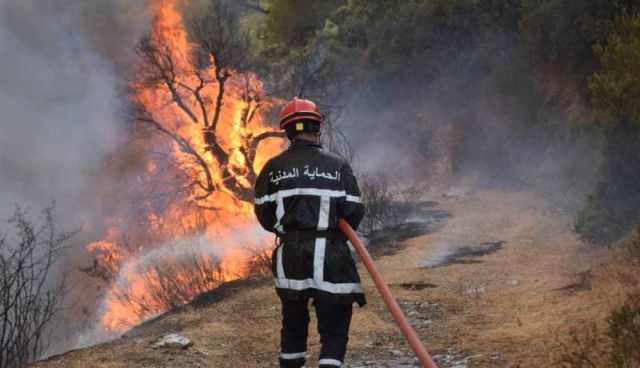 إندلاع عدة حرائق في هذه الولايات