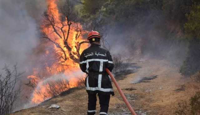 حريق أدغال وأحراش بسكيكدة