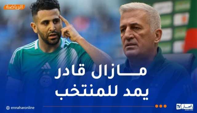 بيتكوفيتش: “محرز أكد لي جاهزيته وبامكانه تقديم الكثير للمنتخب ولاعبينا الشبان”