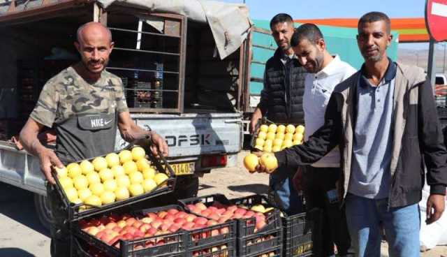 بالصور.. انطلاق عملية البيع المباشر من الفلاحين المنتجين للتفاح إلى تجار التجزئة