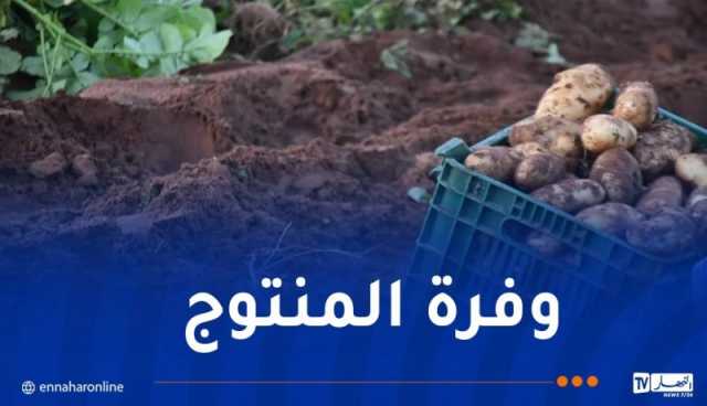 شرفة: دخول كميات معتبرة من البطاطا ما بعد الموسمية الأسواق نهاية نوفمبر