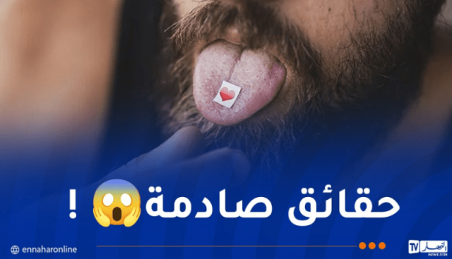 توقيف المدعو “شاوارما” جلب 2201 طابع مخدرات من كندا !