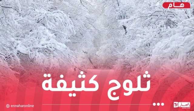 ثلوج كثيفة.. أمطار غزيرة وبرودة شديدة حتى الأربعاء