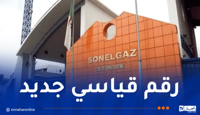 صادرات مجمع سونلغاز تجاوزت الـ268 مليون يورو خلال سنة 2024