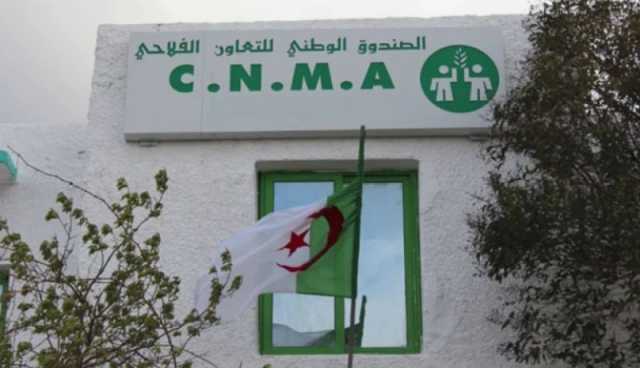 شبابيك للمؤسسات الناشئة عبر وكالات شركة التأمين “CNMA”