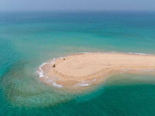 إدراج محمية جزيرة صير بونعير في القائمة العالمية الخضراء للمناطق المحمية