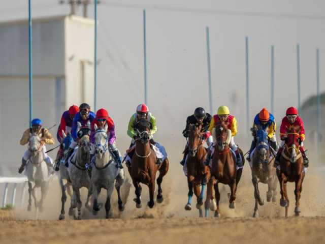 منافسات قوية في بطولة الخيل العربي الأصيل بمهرجان الظفرة