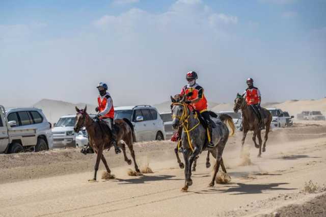 منافسات مهرجان سلطان بن زايد للقدرة تتواصل اليوم