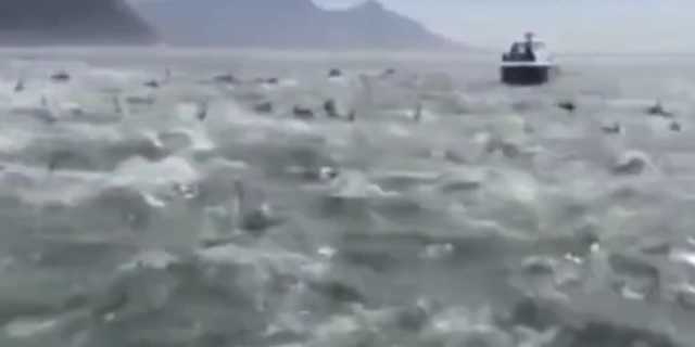 بالفيديو.. ظاهرة غريبة في البحر تنذر باقتراب وقوع زلزال مدمر