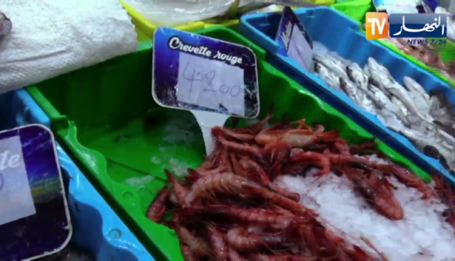 السردين بـ 700 دج.. غلاء الأسعار يغيب السمك عن موائد الجزائريين