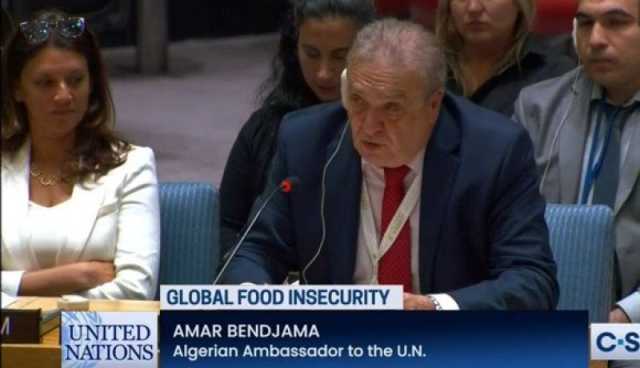 الجزائر تدعو إلى تحقيق البلدان النامية للإكتفاء الذاتي لضمان الأمن الغذائي