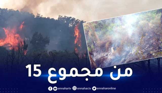 جيجل.. إخماد 14 حريق اندلع في 13 بلدية