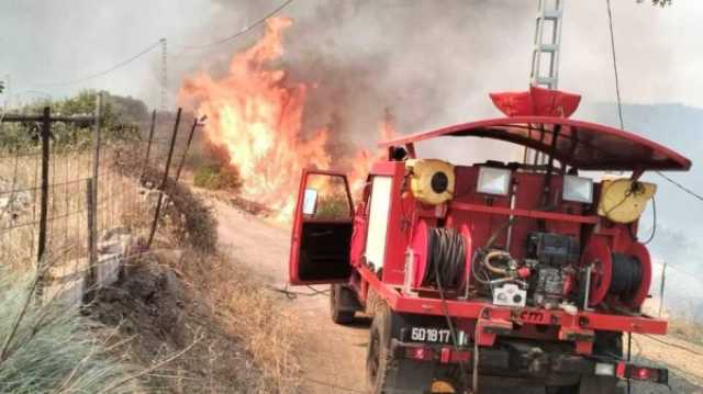 تجدّد الحرائق في ولاية بجاية الجزائرية