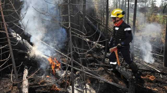 حرائق كندا تلتهم عددا غير مسبوق من الغابات