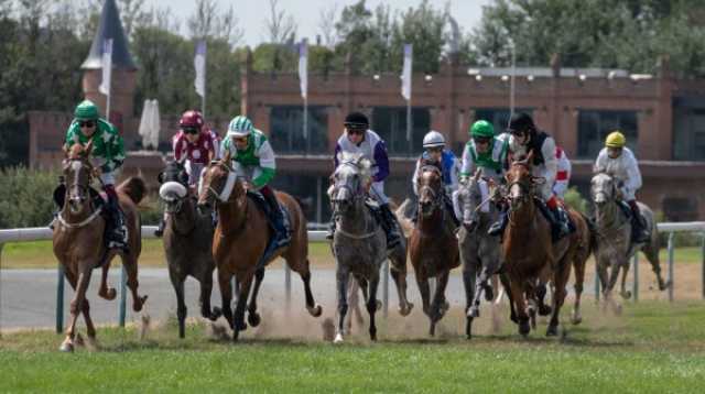 كأس رئيس الدولة للخيول العربية تجمع «الأقوياء»في بلجيكا