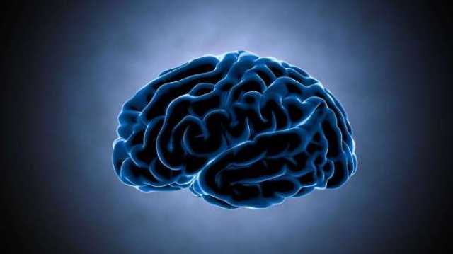 علماء أعصاب يكشفون عن 5 أسرار للحفاظ على صحة الدماغ