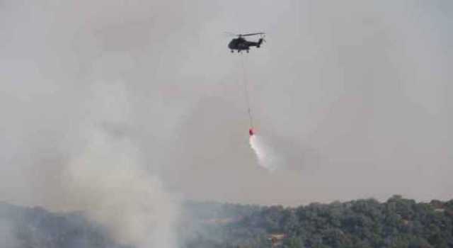 الأمن العام: الدفاع المدني يتعامل الآن مع حريق اعشاب جافة وأشجار حرجيه بمحافظة عجلون