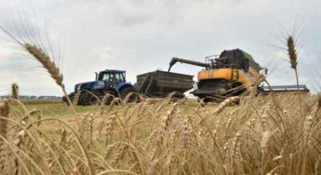عمرو: لا تأثير لقرار حظر تصدير الأرز الروسي على الأردن