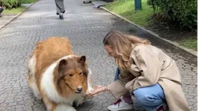 ياباني ينفق آلاف الدولارات ليتحول إلى.. كلب! (فيديو) لايف ستايل