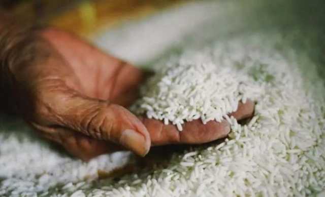لنهاية العام.. روسيا تفرض حظرا على تصدير الأرز
