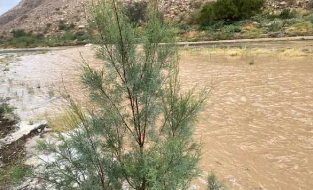 هطول أمطار متفرقة على جبال الحجر