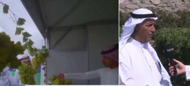 بالفيديو.. صاحب مزرعة يوضّح أصناف الفواكه المشارك بها في مهرجان عسير