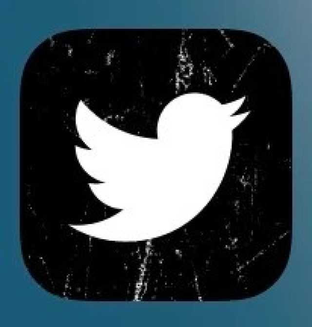 سنودع قريبا 'كل الطيور'.. مالك 'تويتر' يثير حيرة مستخدمي المنصة