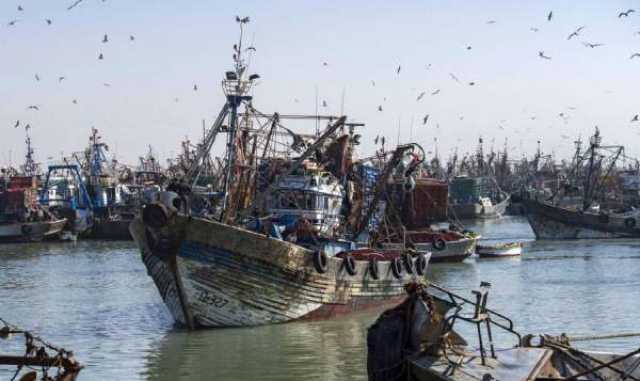 الاتحاد الأوروبي يؤكد أن أولويته هي لتمديد اتفاقية الصيد البحري مع المغرب