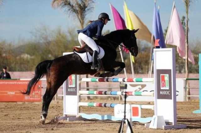 الفارسة جيني الكراوي تفوز ببطولة المغرب “ألف” لترويض الخيول
