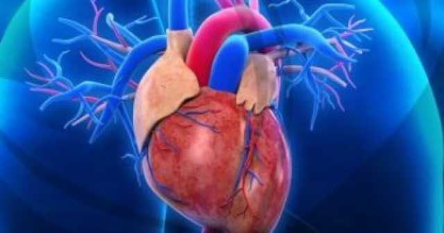 سلوكيات تزيد من خطر الإصابة بأمراض القلب؟ صحة وطب