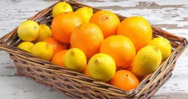 اقتصاد وبورصة صادرات البرتقال المصري تسجل 98 مليون دولار فى إبريل الماضى