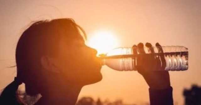 احذر 5 أمراض شائعة فى الصيف أبرزها ضربة الشمس صحة وطب